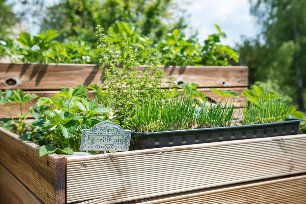 Landpension-Kleeblatt Wurchwitz Esterno foto